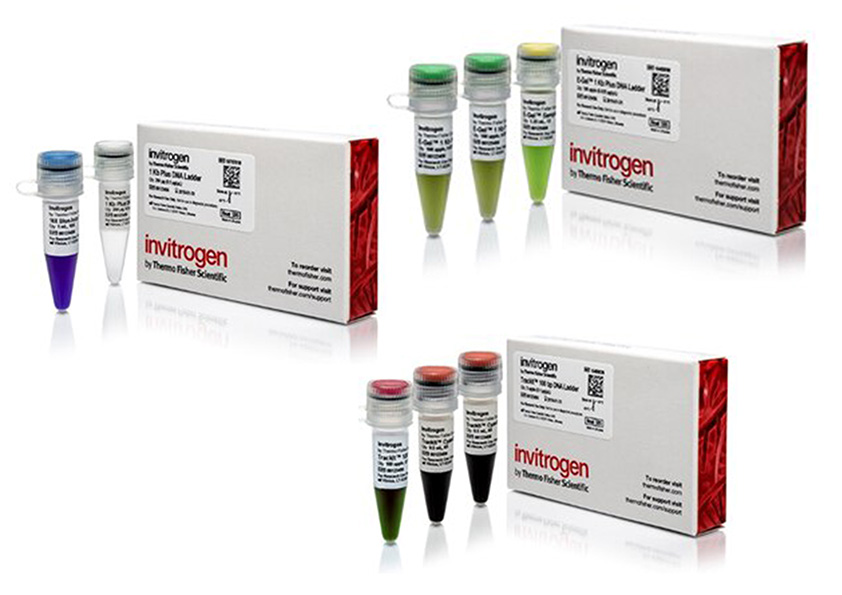 Invitrogen™ Medical Test Systems, Inc. (MEDTEST)