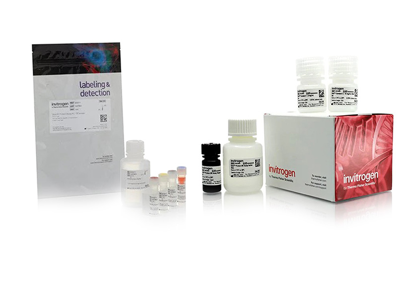 Invitrogen™ Medical Test Systems, Inc. (MEDTEST)
